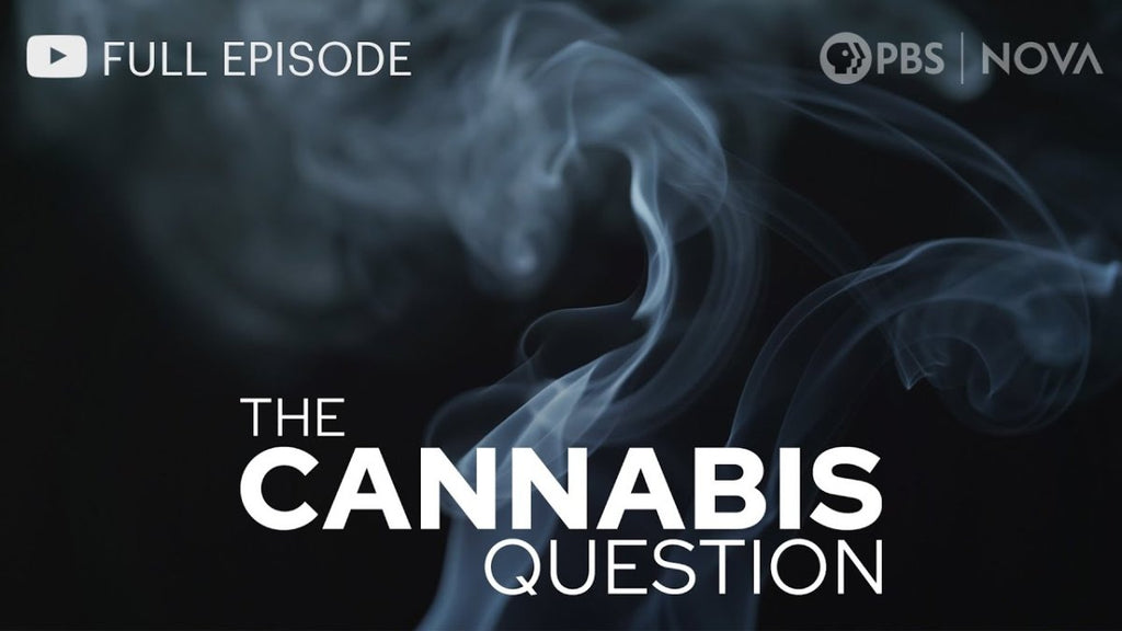 Exploring The Cannabis Question:
A Deep Dive into Its Impact and Controversies - JustSmoke.Me