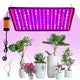 Neulriscn 1000W LED Grow Light – Full Spectrum – 2 × 2ft Coverage