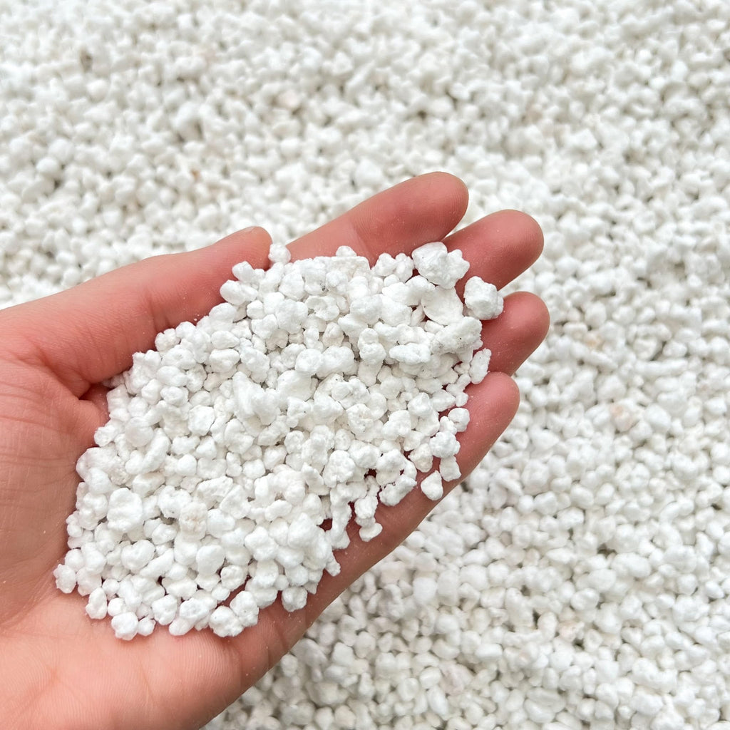 bhomescent Horticultural Perlite – 3–5mm – 1L
