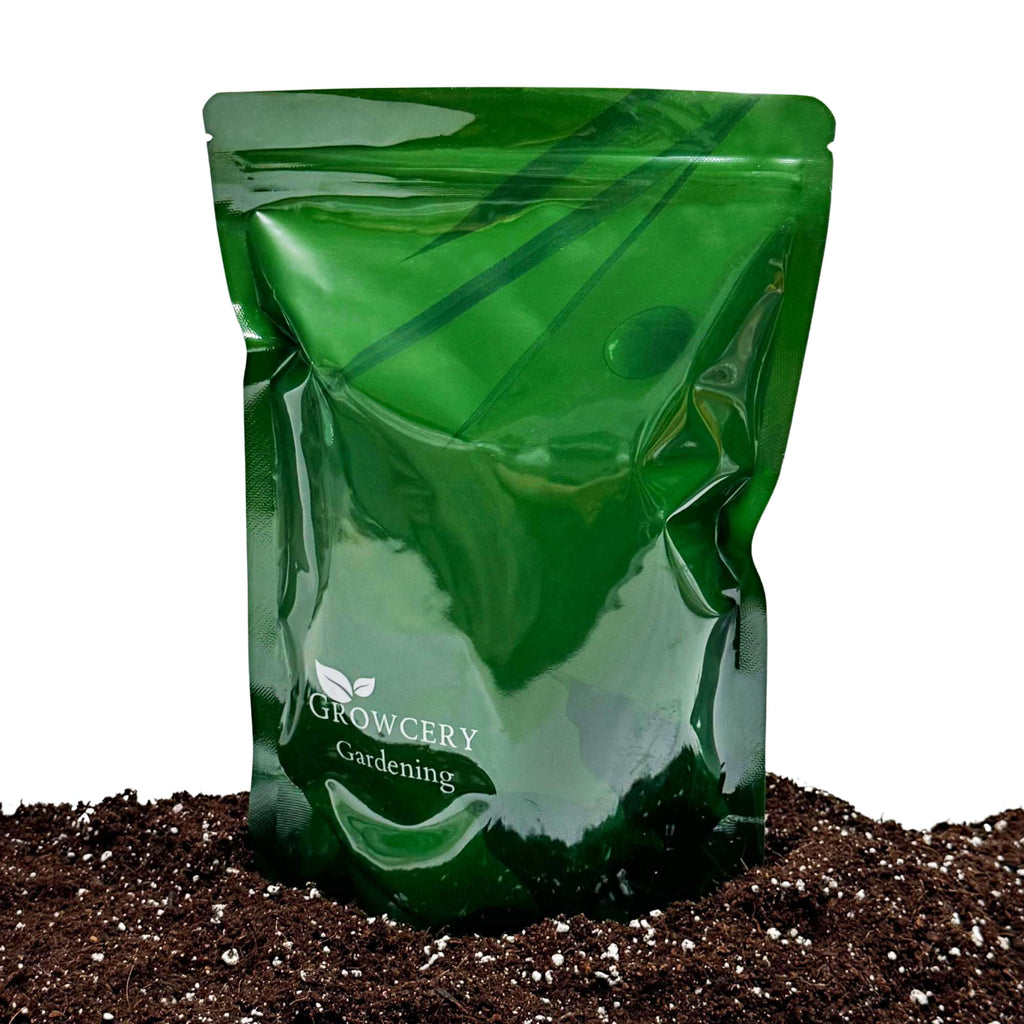bhomescent Coco Perlite Mix 70/30 with Activated Biochar – 1L