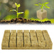 RUCUDIM Rockwool Cubes – 4 × 4 × 4cm – Propagation & Cloning