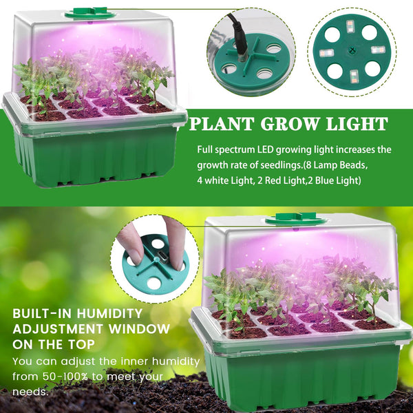 MQFORU Seed Trays with Grow Light – 5 Pack – 60 Cells – Humidity Dome & Timer
