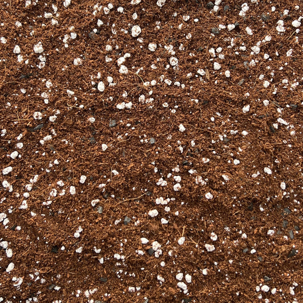 bhomescent Coco Perlite Mix 70/30 with Activated Biochar – 1L