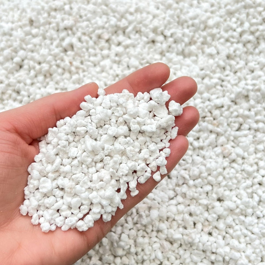 bhomescent Horticultural Perlite – 3–5mm – 1LJustSmoke.Me