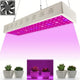 Bufccy 1000W LED Grow Light with Fan – 100 LEDsJustSmoke.Me