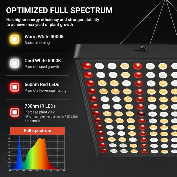 DragonLight CW2000 LED Grow Light – Full Spectrum – 2 × 2ft Coverage – 3m CableJustSmoke.Me