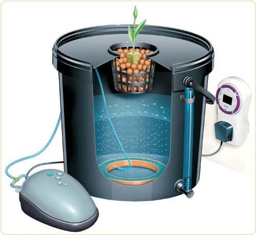 Esoteric Hydroponics Aero Pod DWC Hydroponic System – 1 Pod, 1 Pump – 1 Site LidJustSmoke.Me