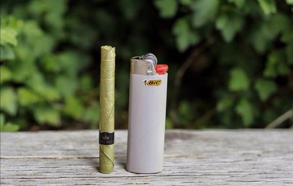 King Palm | Gift Boxes - Justsmoke.meJustSmoke.Me