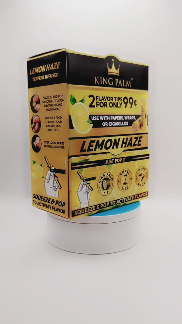King palm lemon haze flavoured filter tips display box product video 7mm by justsmoke.me