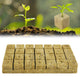 RUCUDIM Rockwool Cubes – 4 × 4 × 4cm – Propagation & CloningJustSmoke.Me