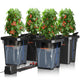SPIDER FARMER DWC Hydroponics Grow System – 7 Gallon – 4 Buckets – 15W Air Pump – Drip KitJustSmoke.Me