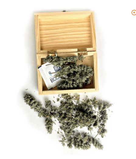Catnip - Flower & Buds +Grinder I Grand Daddy Purrr I Cigar BoxJustSmoke.Me