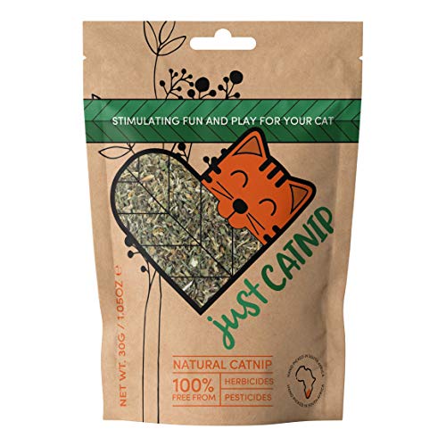 Just Catnip - Organic Catnip for Cats | Fine Blend Cat Nip | Grown in South Africa | Extra Strong | Cat Toy | Cat Treat | Natural, Ethical and Sustainably Farmed (Catnip (30g))JustSmoke.Me